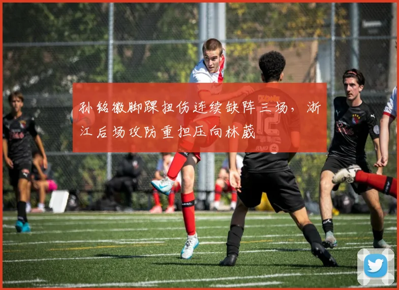 孙铭徽脚踝扭伤连续缺阵三场,浙江后场攻防重担压向林葳